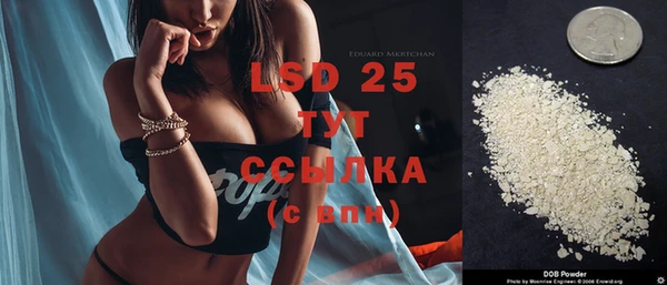 шишки Володарск
