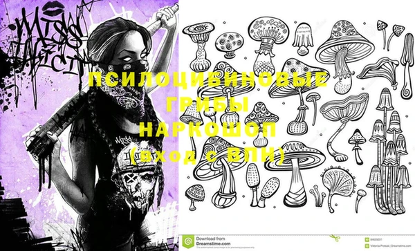 спайс Вязьма